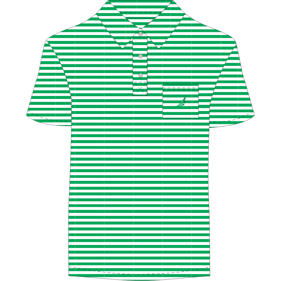 Stripe Polo-Green Stripe main image 1