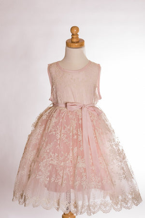 Pink and Cream Lace Princess Dress