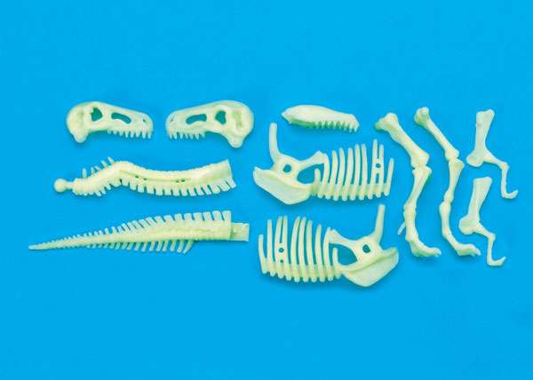The Original Glowstars Glow-In-The-Dark T-Rex Skeleton