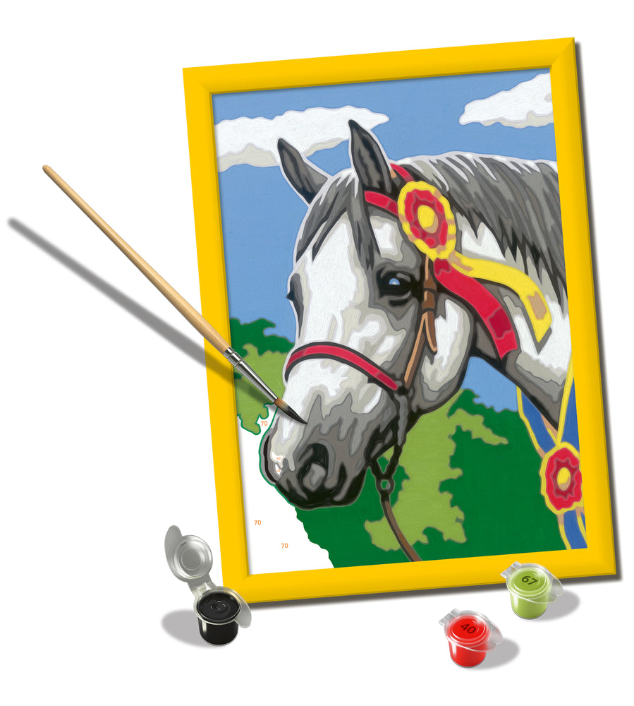 Show Horse CreArt Paint By Numbers Kit