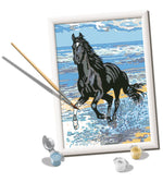 Beach Horse CreArt Jr Paint By Numbers Kit