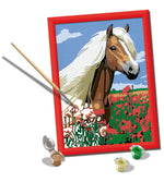 Halfinger CreArt Paint By Numbers Kit