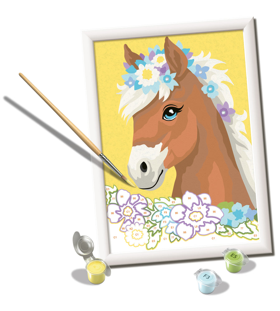 Horse with Flowers CreArt Paint By Numbers Kit