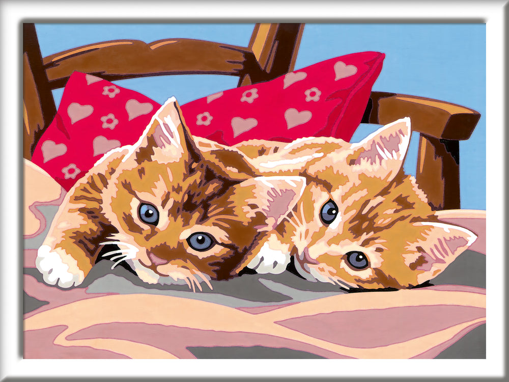 Two Cuddly Cats CreArt Paint By Numbers Kit