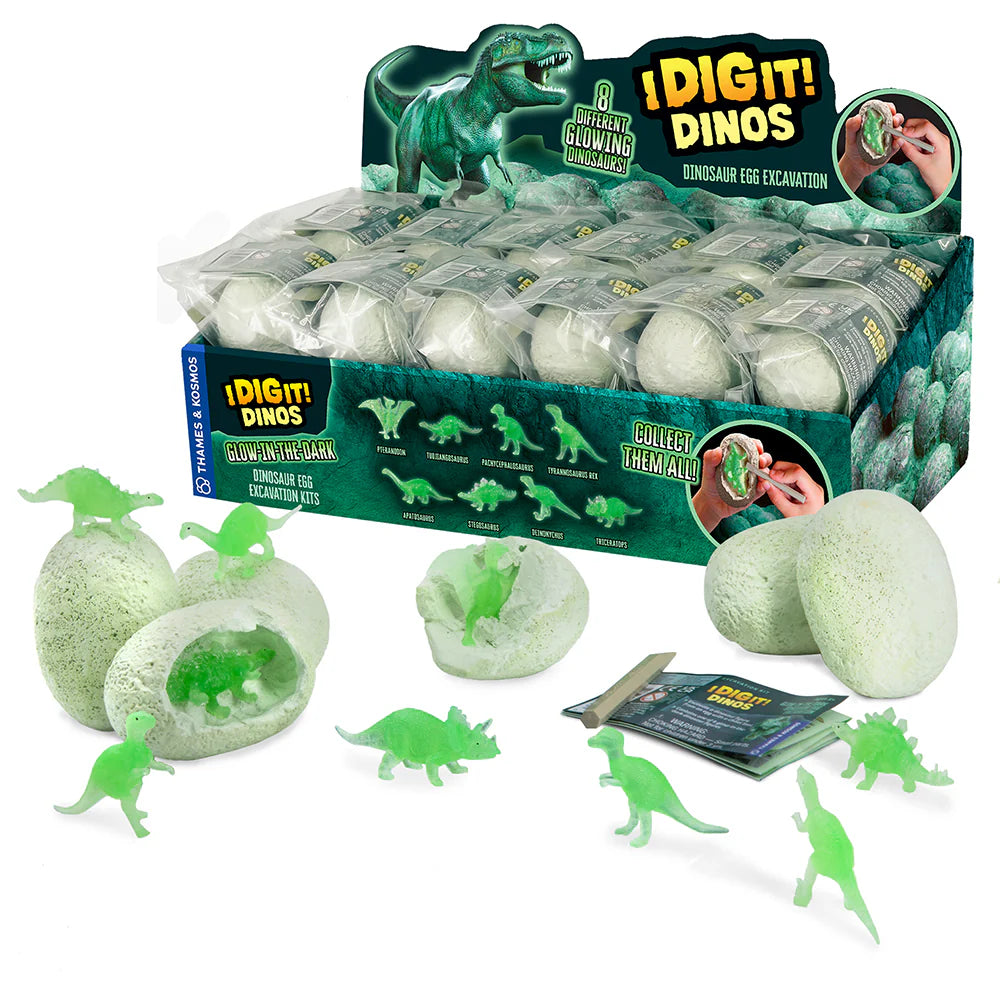 I Dig It! Dinos - Glow-in-the-Dark Dino Egg – Rockin' A B