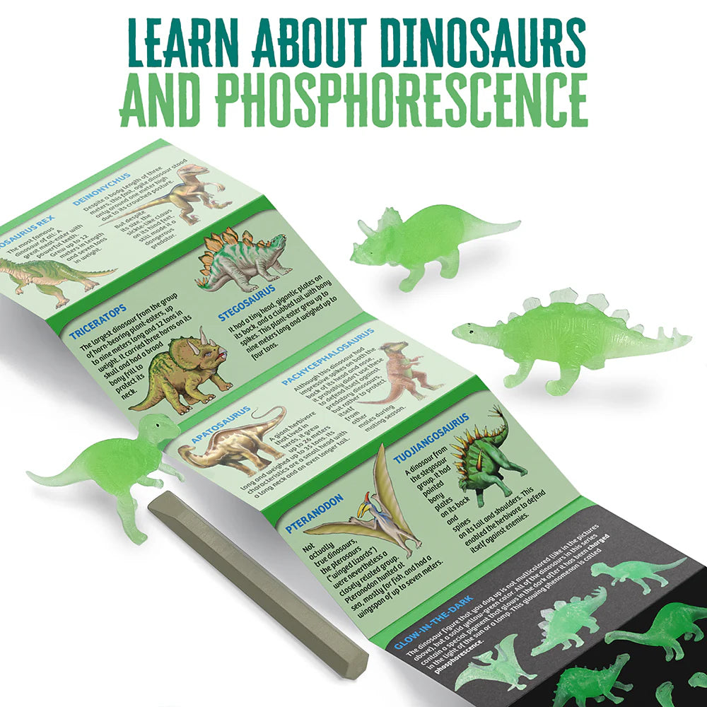 I Dig It! Dinos - Glow-in-the-Dark Dino Egg – Rockin' A B