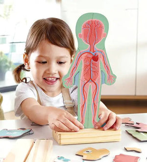 Magnetic Human Body Wooden Puzzle