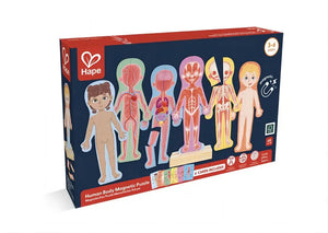 Magnetic Human Body Wooden Puzzle