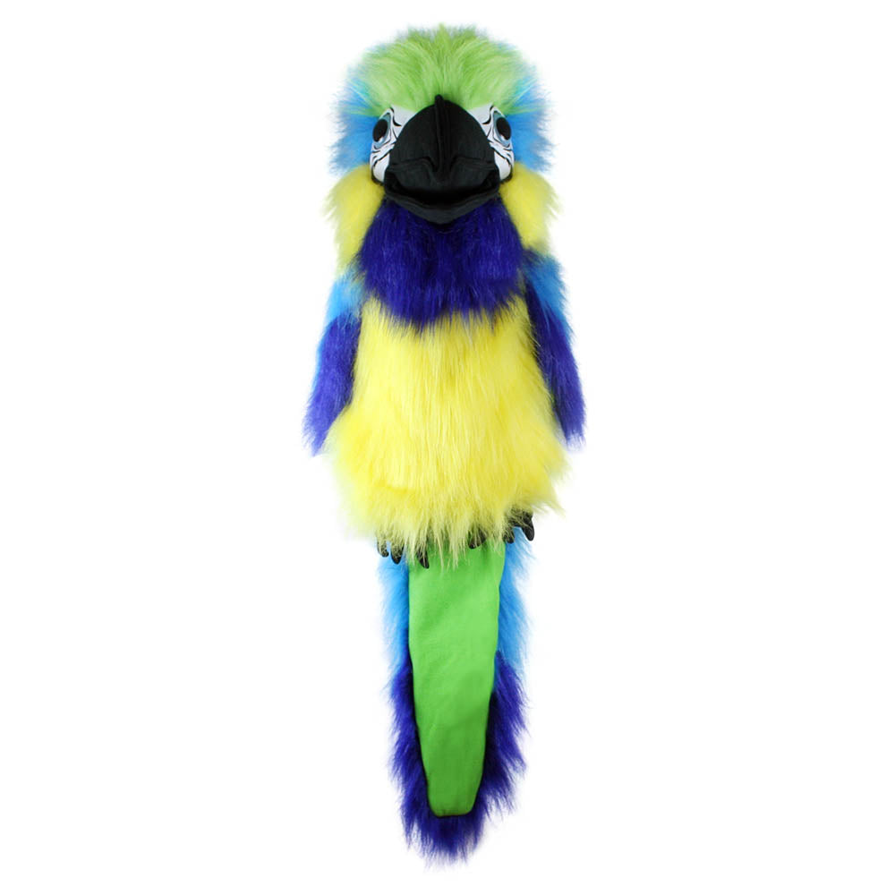 Blue & Gold Macaw - Large Birds