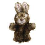 Rabbit (Wild) - Animal Puppet Buddies