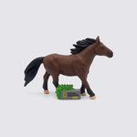 National Geographic - Horse