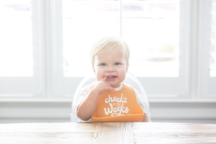 Cheeks For Weeks Wonder Bib