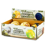 Dinosaur Skeleton Bounce Ball