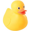 Jumbo Duck