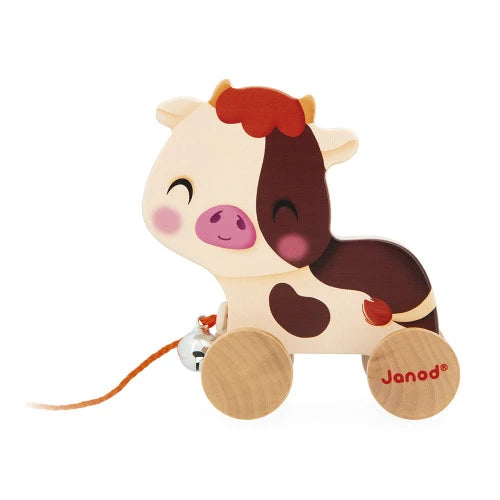 Walking Cow