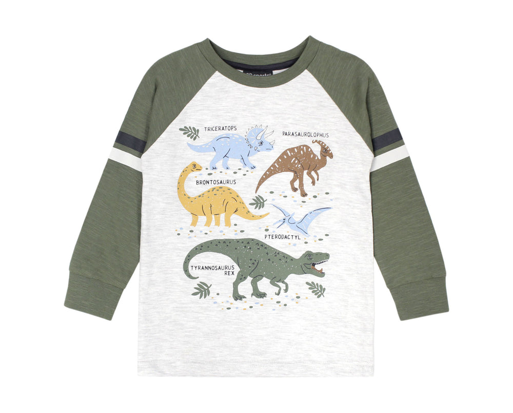 Multi Dino Top with Contrast Sleeve - Select Size