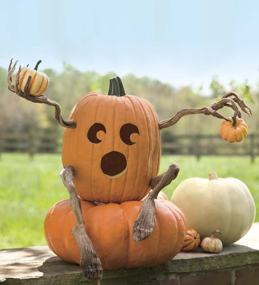 Decorative Foam Halloween Pumpkin Appendages