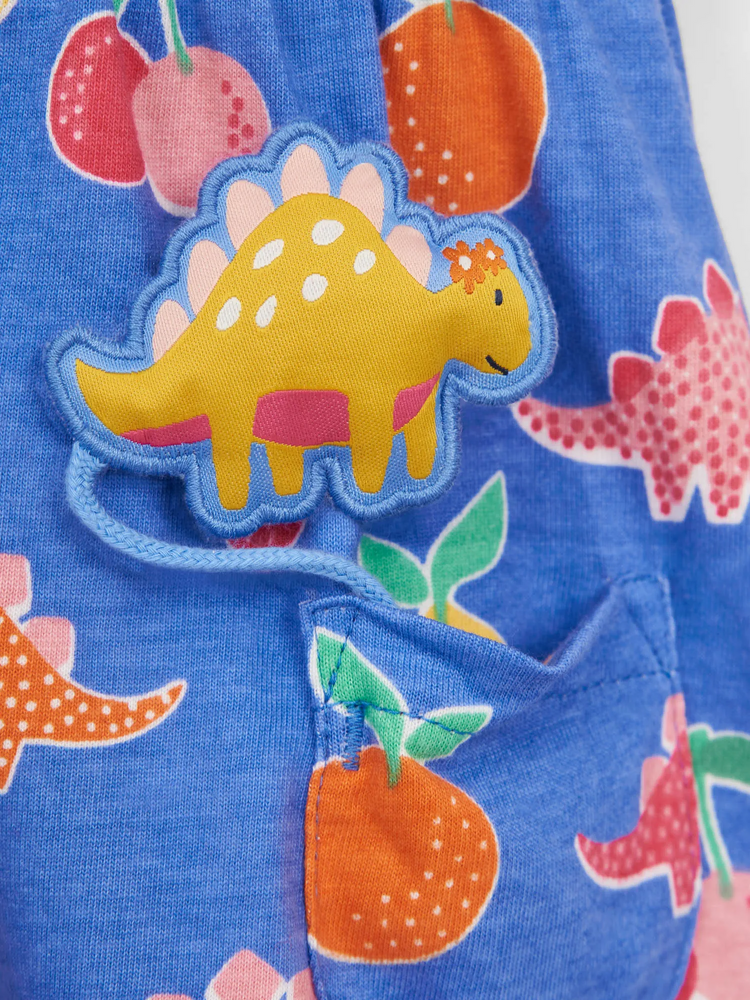 Dino & Fruit Print Pet In Pocket Blue Dress - Select Size