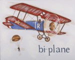 Bi-Plane - CP110 -Wall Art