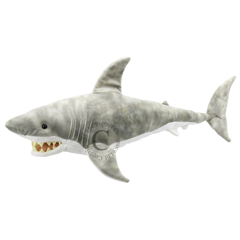 Shark - Large Creatures
