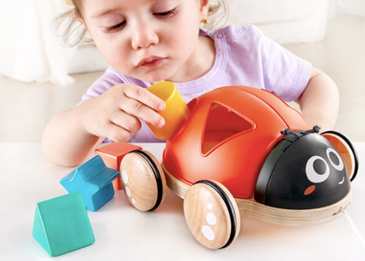 Shape-Sorter Ladybug