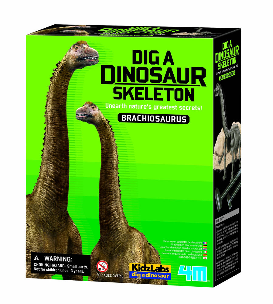 4M Dig A Dino Series II