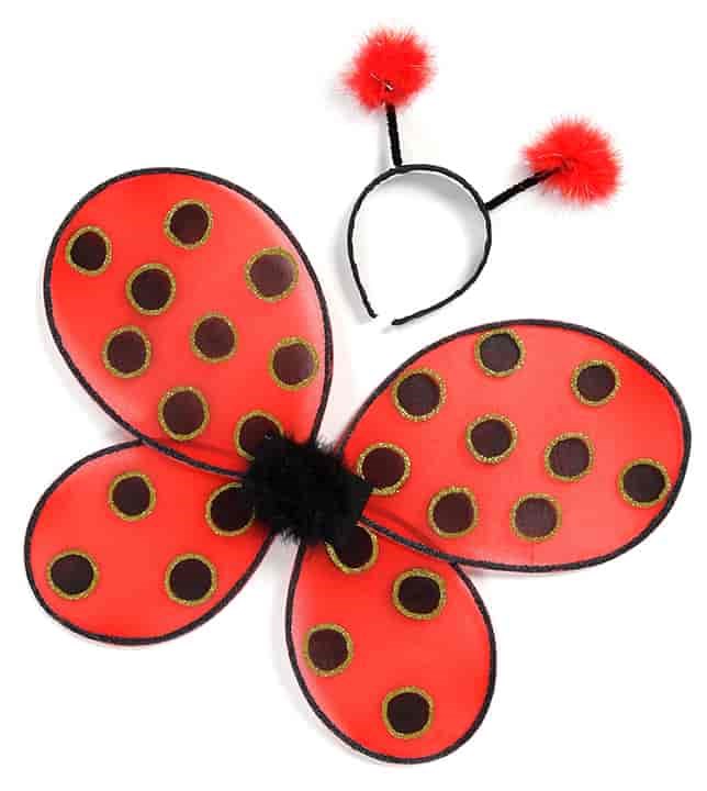 Ladybug Wings & Headband