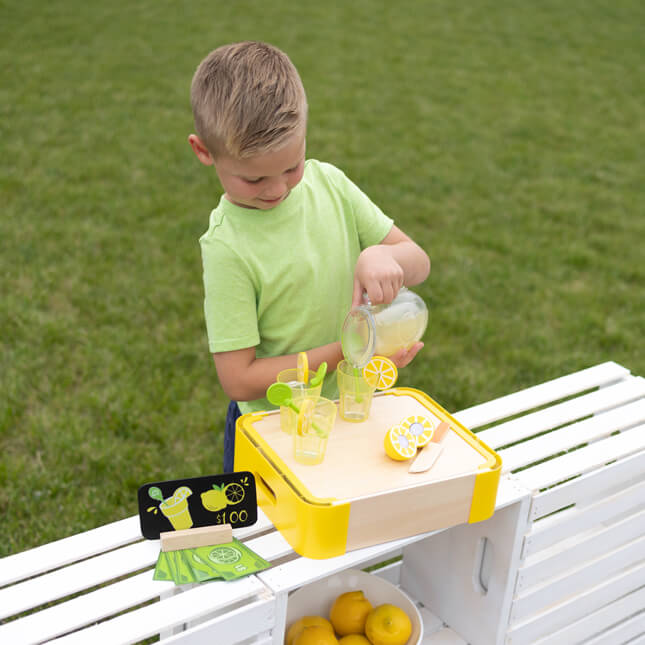 Pretendables Lemonade Set